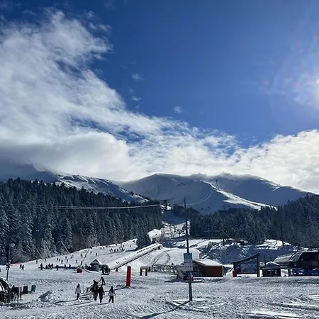 Au Coeur De La Station Pour 5-6 Pers, Proche Pistes Et Commerces - Fr-1-787-106 * Laveissière